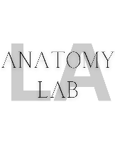 Anatomy Lab LA