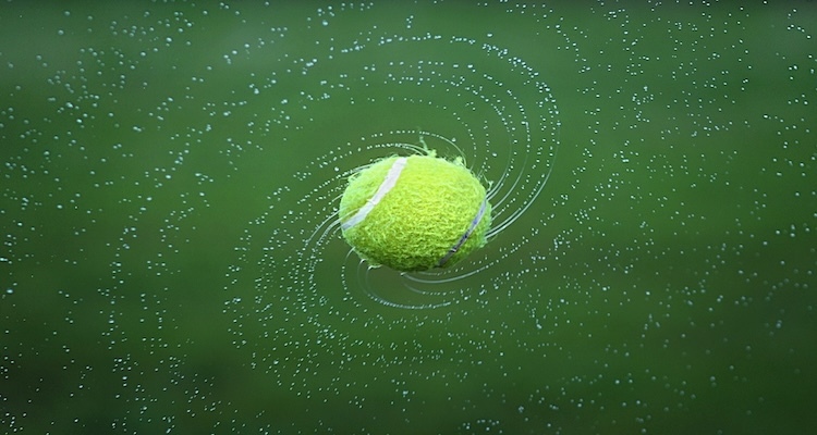 How Much Does a Tennis Ball Weigh