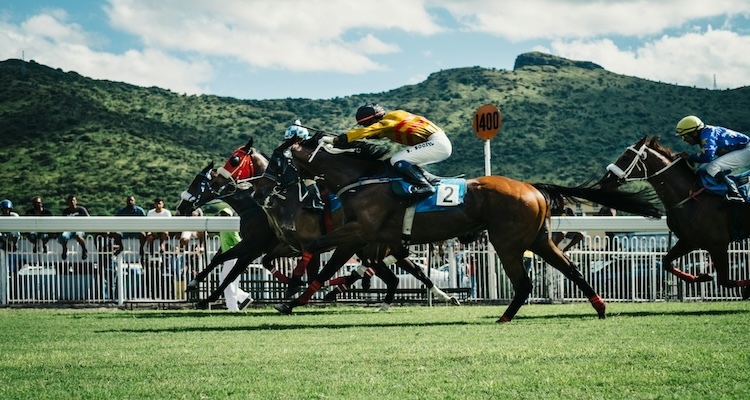 How to Avoid Injuries in Horse Racing